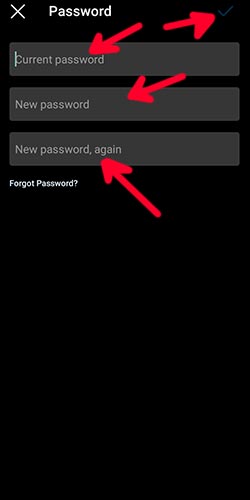 how to change my instagram password