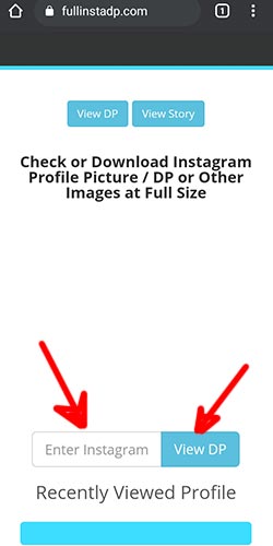 Instagram profile picture download